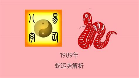 1989年是什么命|1989属蛇的五行 1989年属蛇蛇是什么命